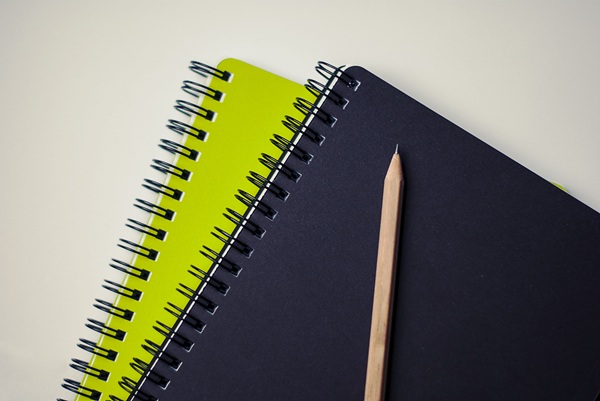 Looking for free notebooking pages? You've come to the right place! I've gathered notebooking resources from around the web to help you save money while giving your children a creative way to document their learning.